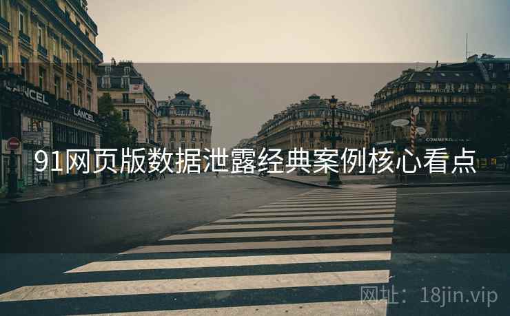 91网页版数据泄露经典案例核心看点