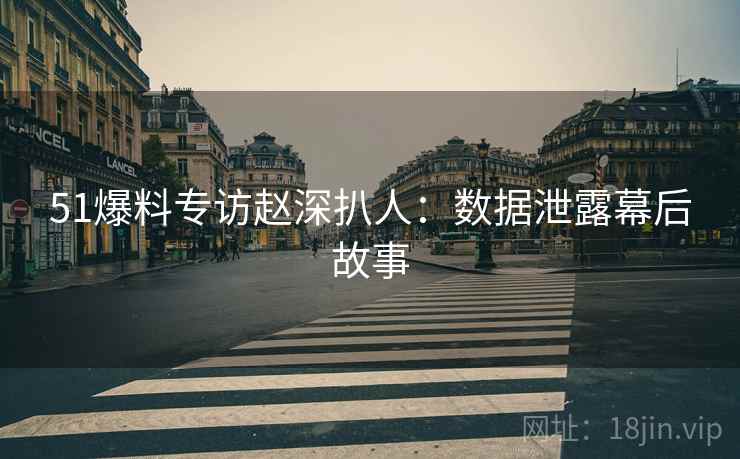 51爆料专访赵深扒人：数据泄露幕后故事